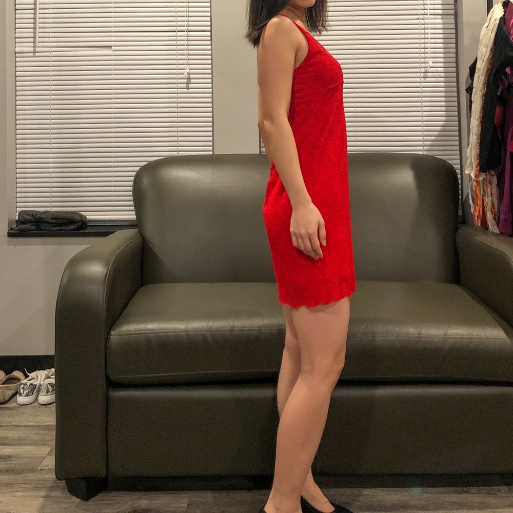 Knit Lace Bodycon Mini Dress